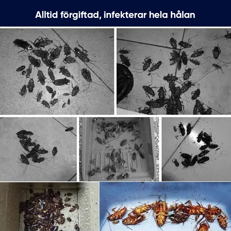 Kraftfull säker kackerlacka avvisande eterisk olja