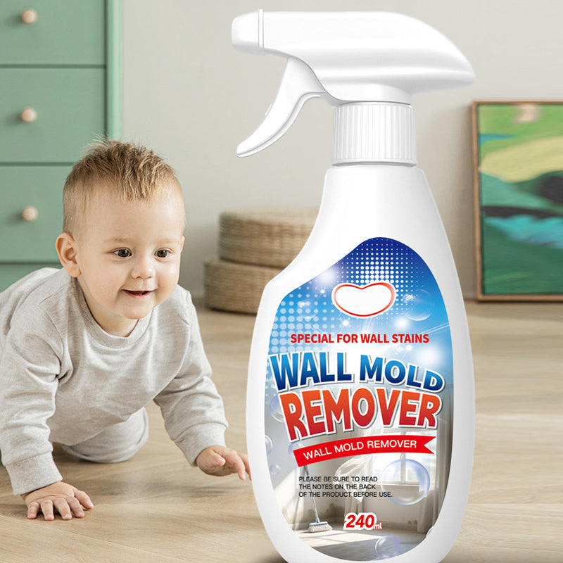 Mold Remover Spray for Walls