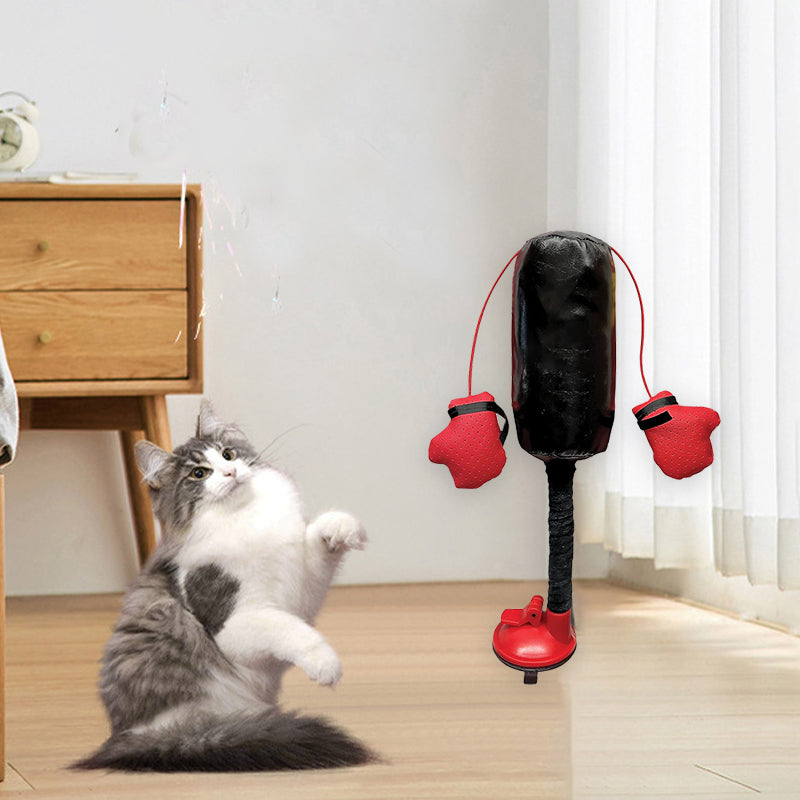 Cat Boxing Toy