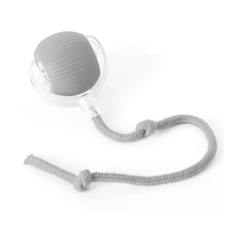 Interaktiv boll inomhuskatt