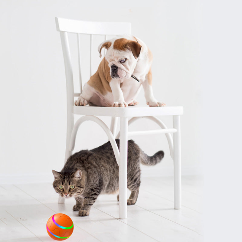 Chew-Resistant Smart Pet Ball