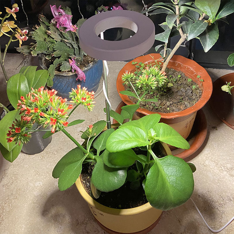 Indoor Plant Growth Light