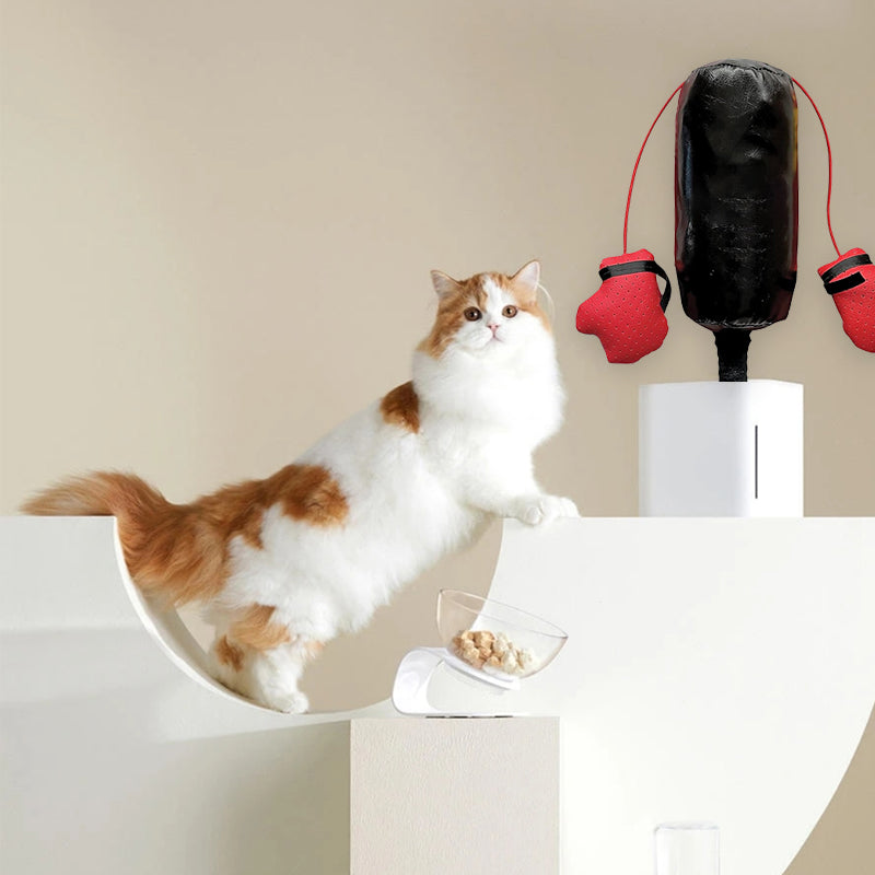 Cat Boxing Toy