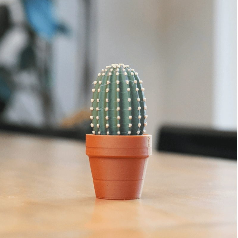 Potted Plant Stress Relief Toy