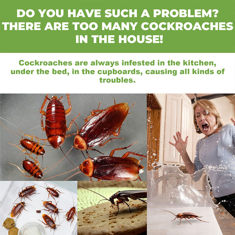 Domestic Dormitory Kitchen Powerful Cleaning Cockroach Exterminator Cockroach Gel Bait