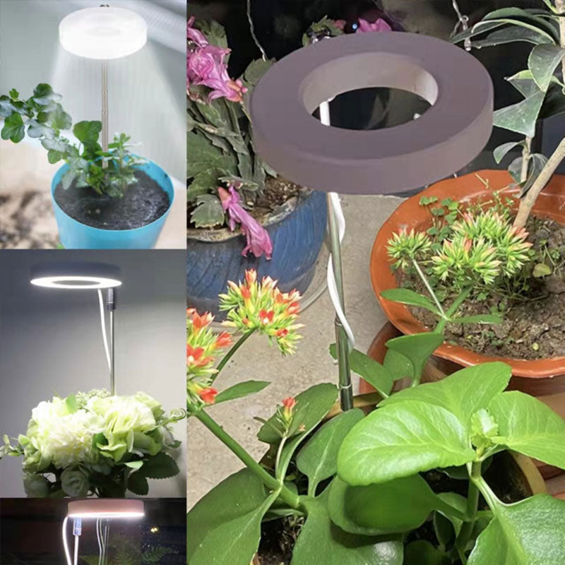 Indoor Plant Growth Light