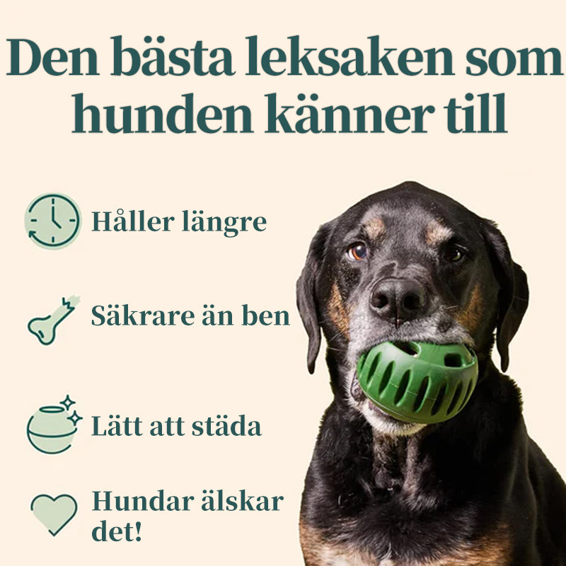 Läckageleksak för husdjursfoder