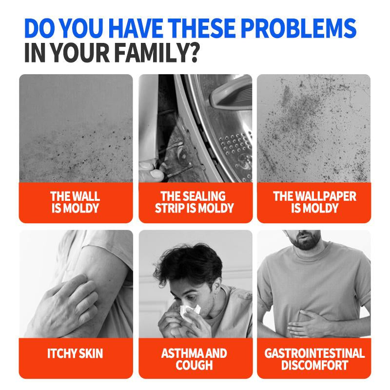 Mold Remover Spray for Walls