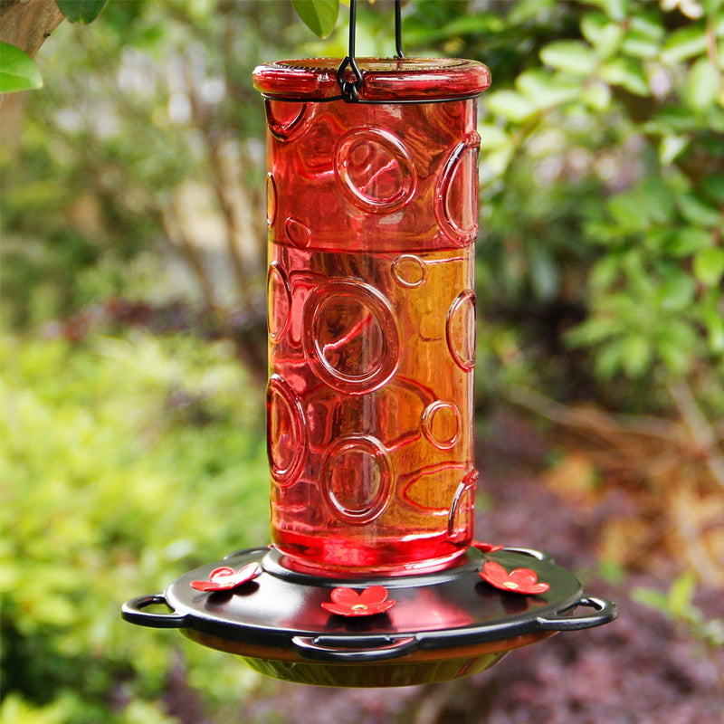 Glass Hummingbird Feeder for Outdoor Hanging