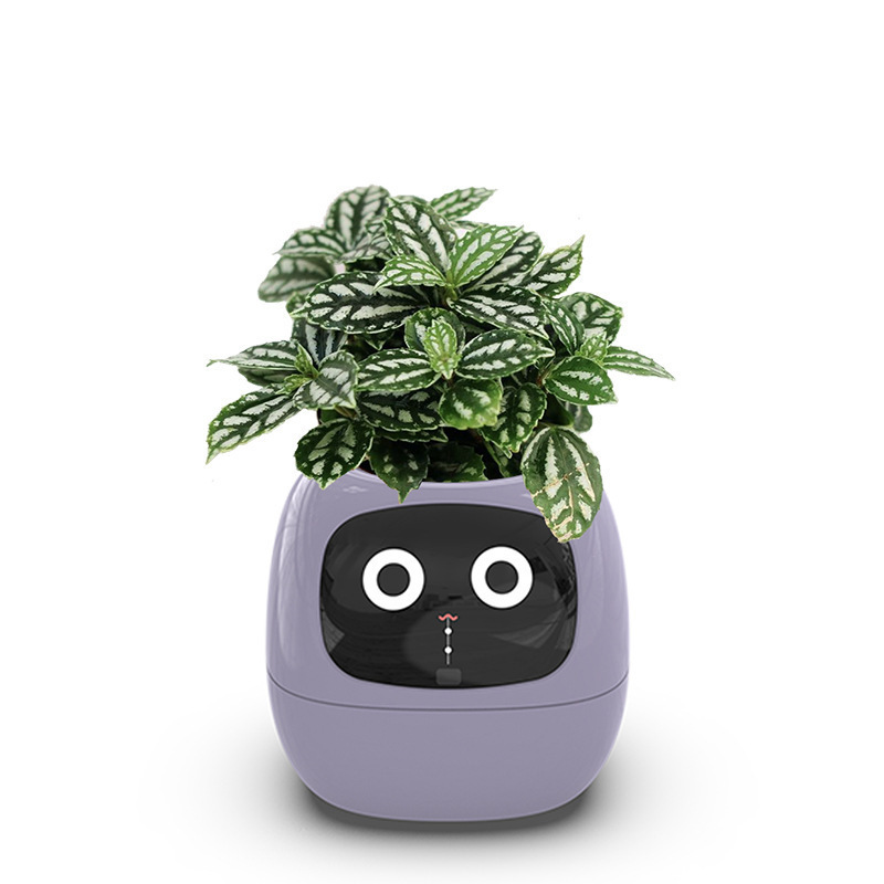 Smart AI Flowerpot with Temperature Display and Animated Expressions