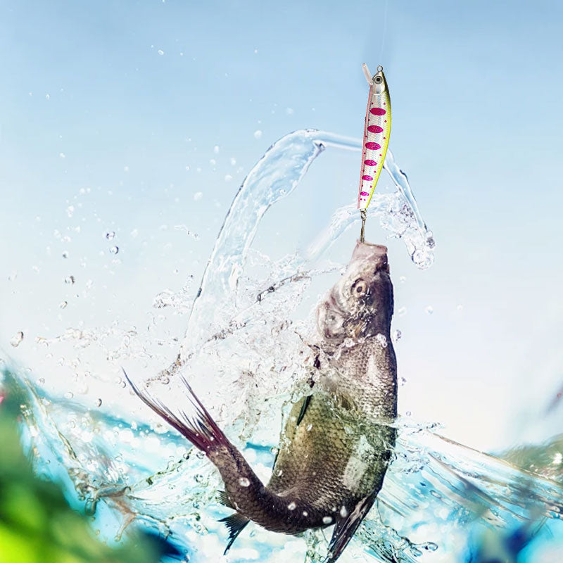 Professional Fishing Rod and Reel Combo Set