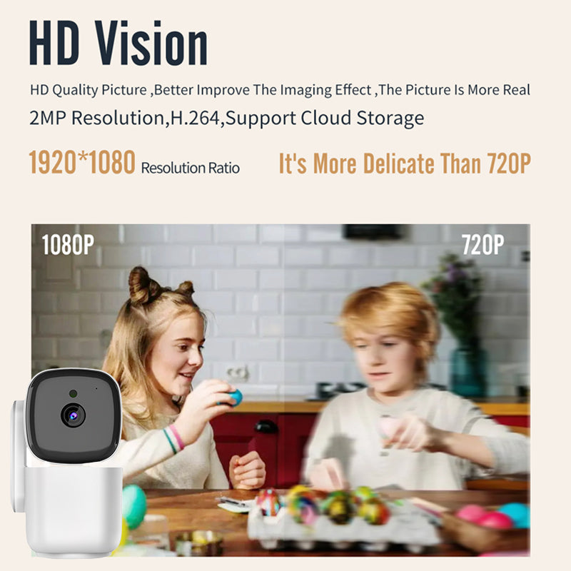 Indoor/Outdoor Pan Tilt Zoom Camera
