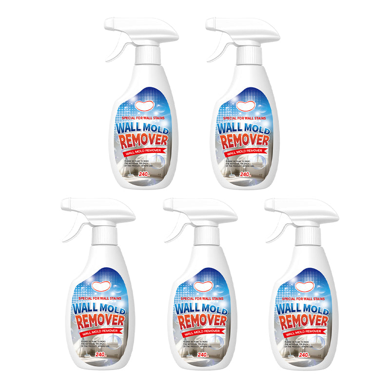 Mold Remover Spray for Walls