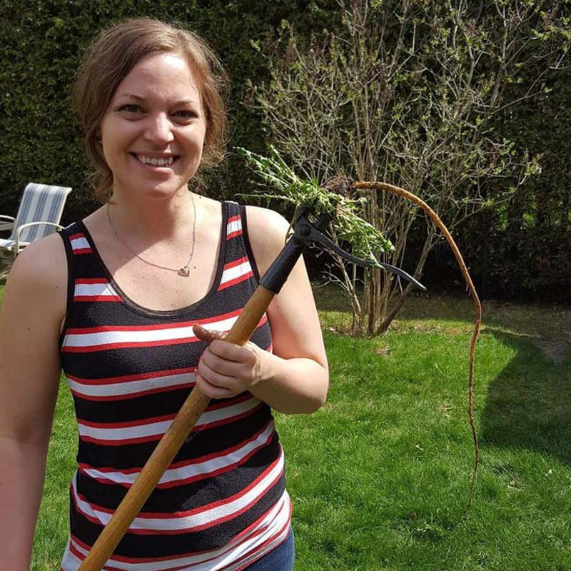 Stand Up Weed Puller Tool with Long Handle