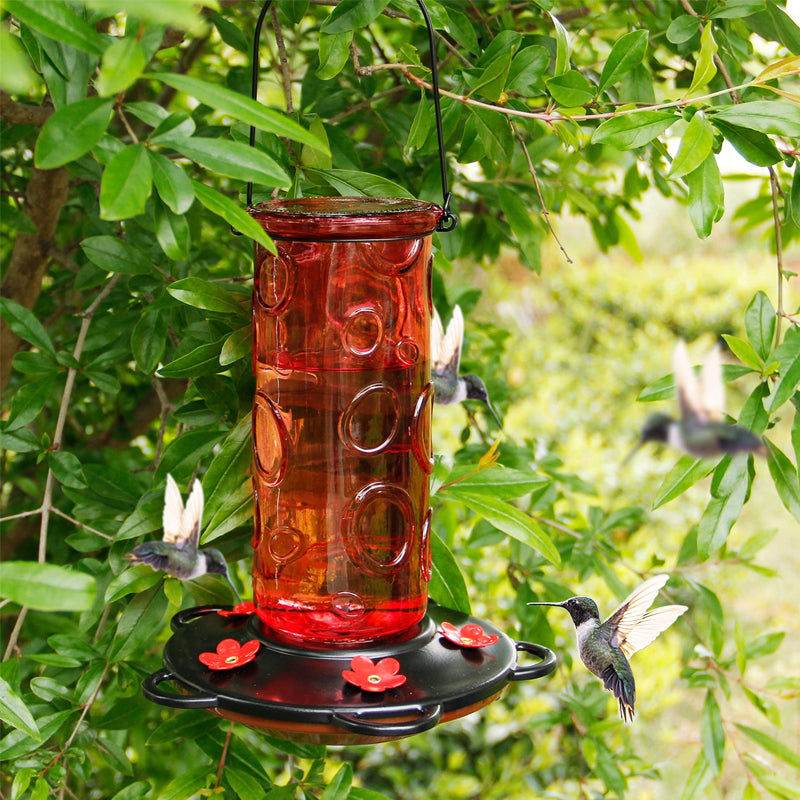 Glass Hummingbird Feeder for Outdoor Hanging