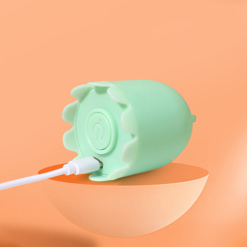 Leksaker för innekatter