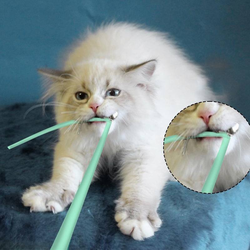 Leksaker för innekatter