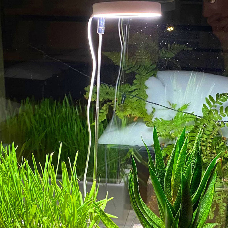 Indoor Plant Growth Light