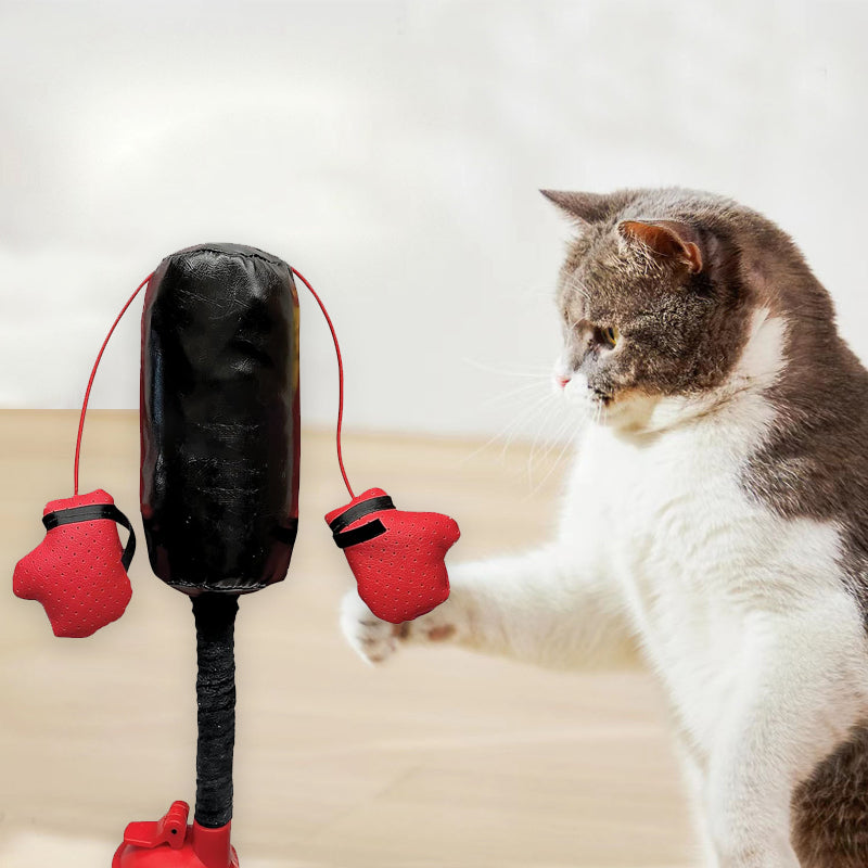 Cat Boxing Toy