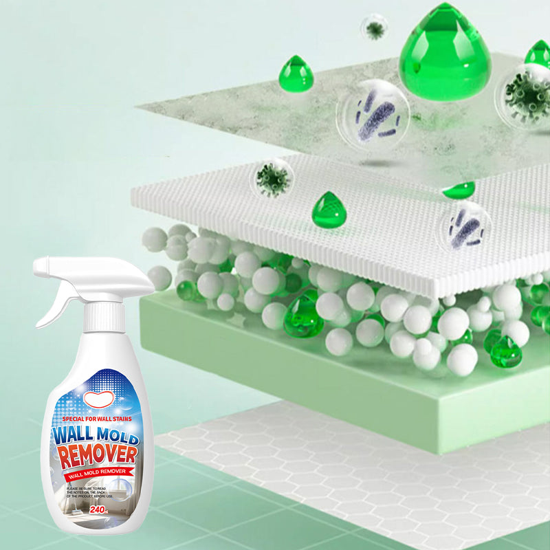 Mold Remover Spray for Walls