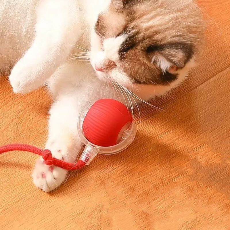 Interaktiv boll inomhuskatt