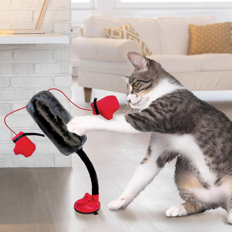 Cat Boxing Toy