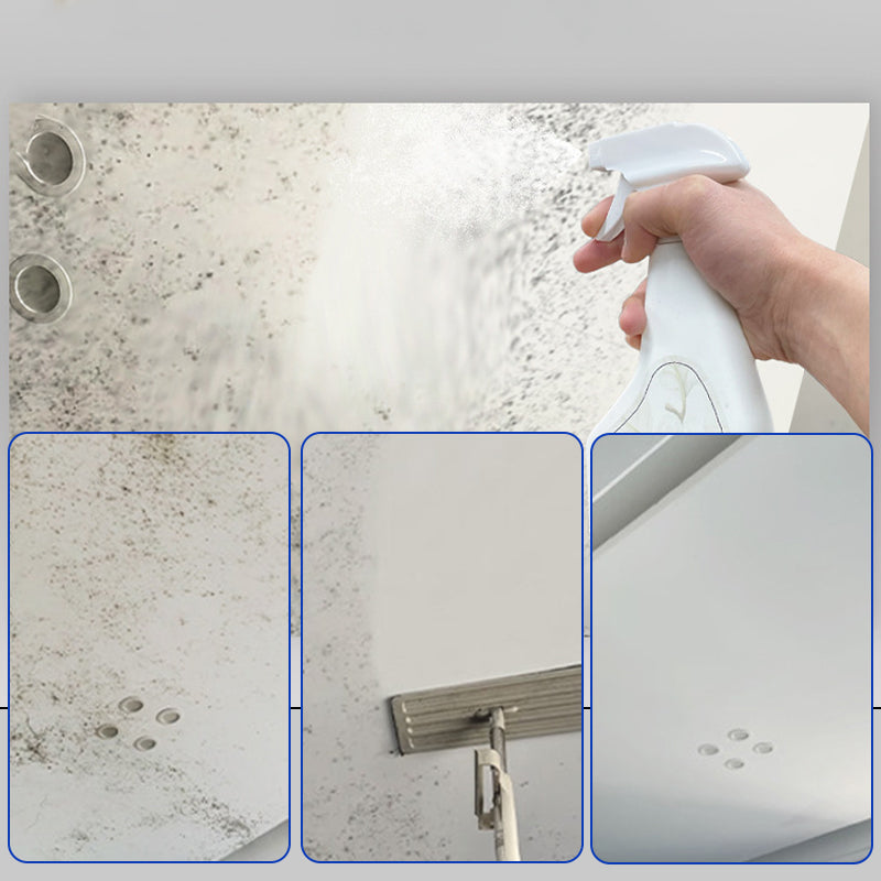 Mold Remover Spray for Walls