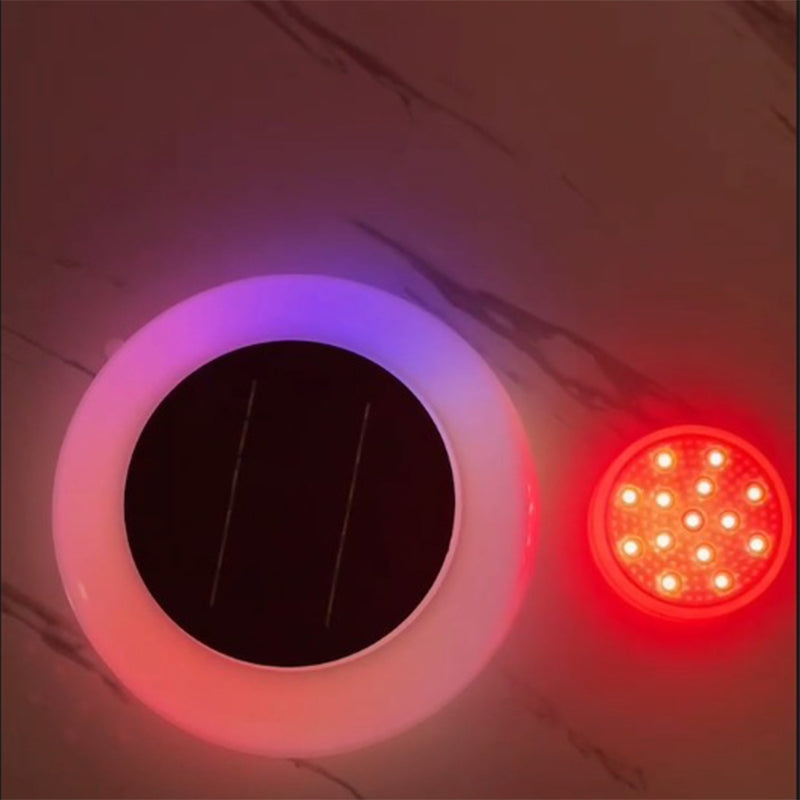 Solar-Powered Pool Ionizer Purifier