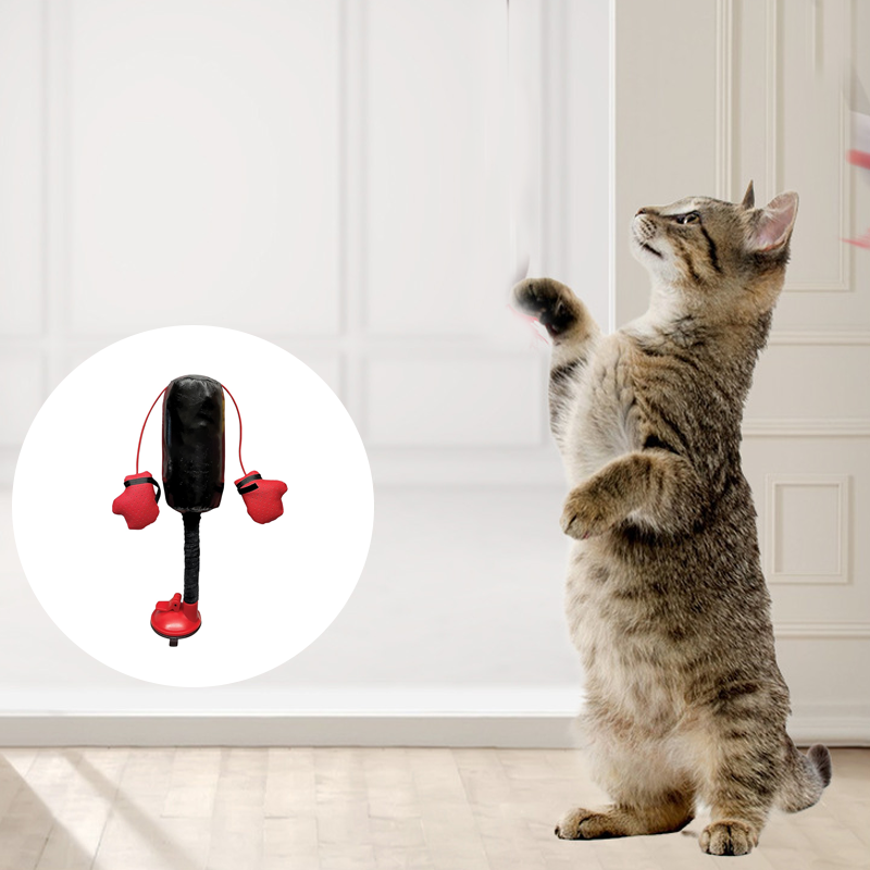 Cat Boxing Toy