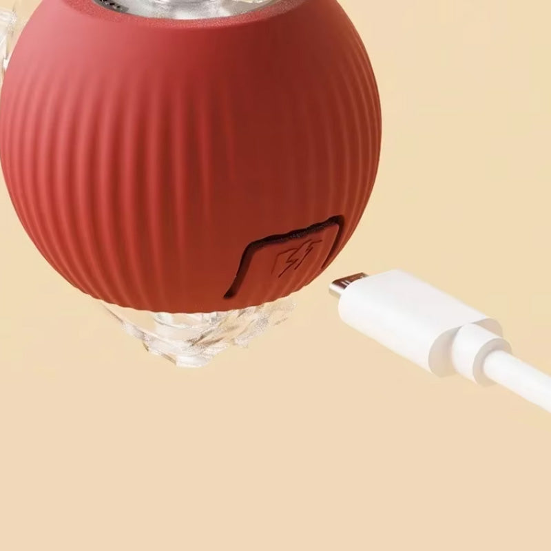 Interaktiv boll inomhuskatt