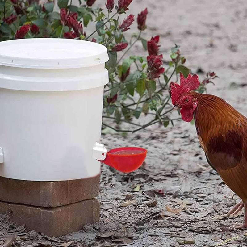 Automatic Chicken Water Cups (6 pcs)
