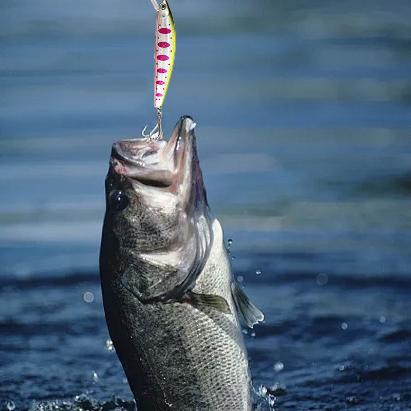 Professional Fishing Rod and Reel Combo Set