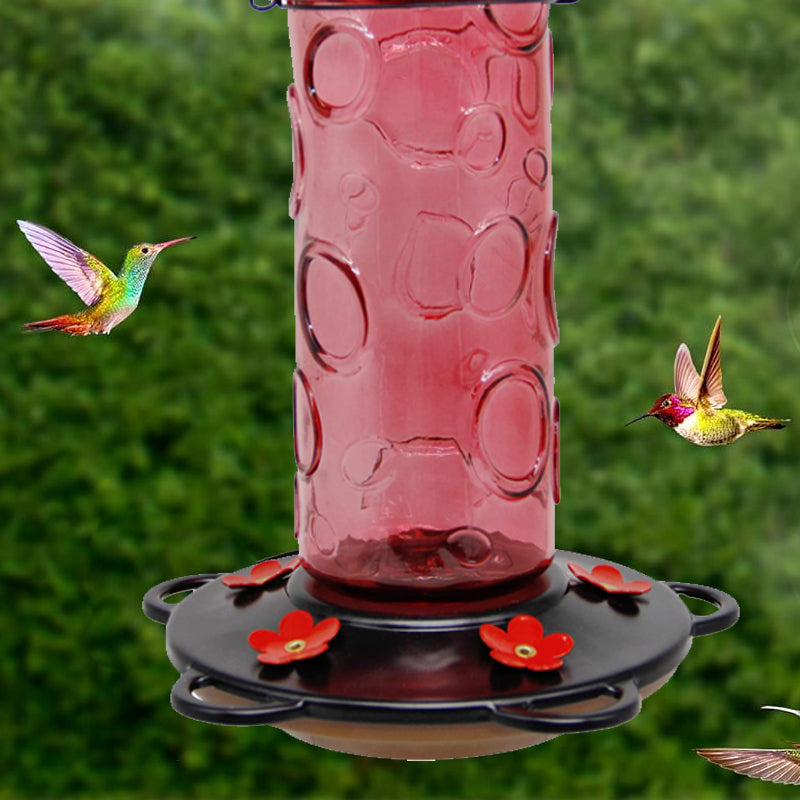 Glass Hummingbird Feeder for Outdoor Hanging
