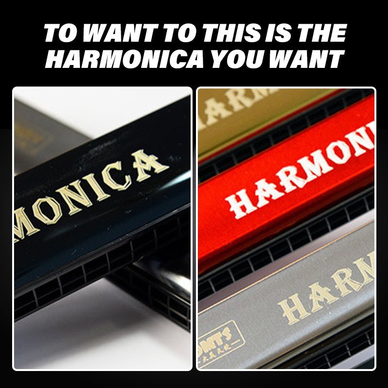 24-Hole C Key Harmonica
