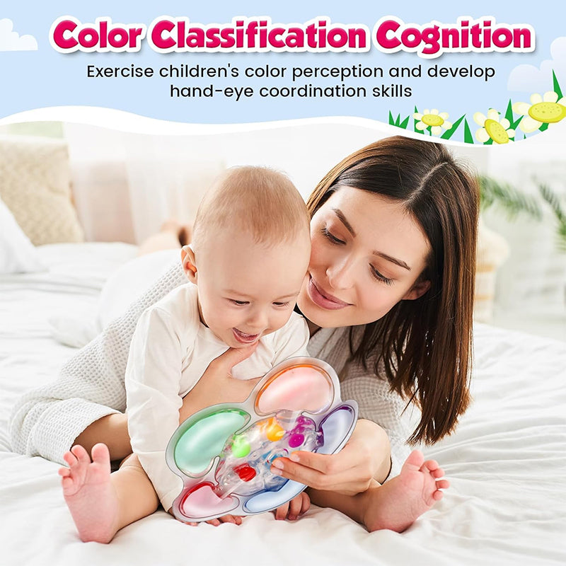Color Sorting Sensory Toy