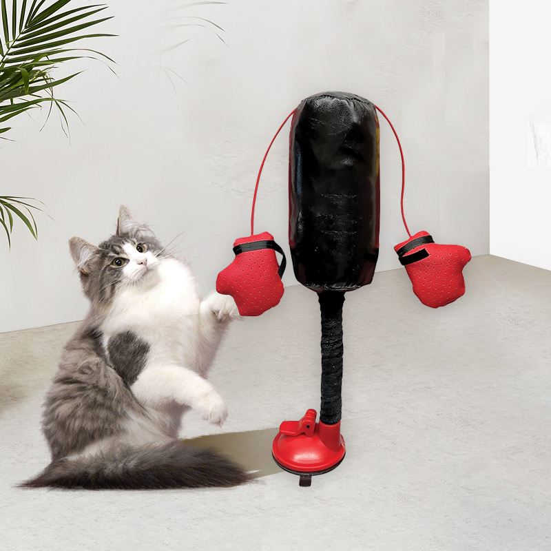 Cat Boxing Toy
