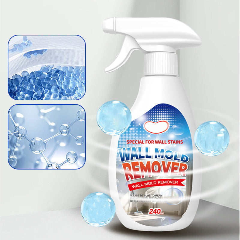 Mold Remover Spray for Walls