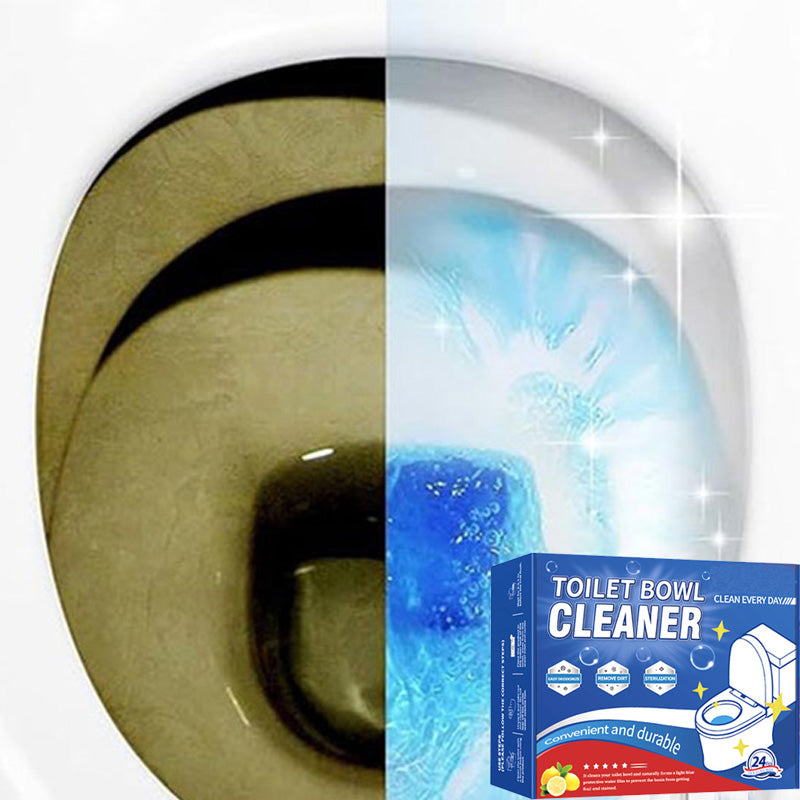 Professional Toilet Bowl Cleaner