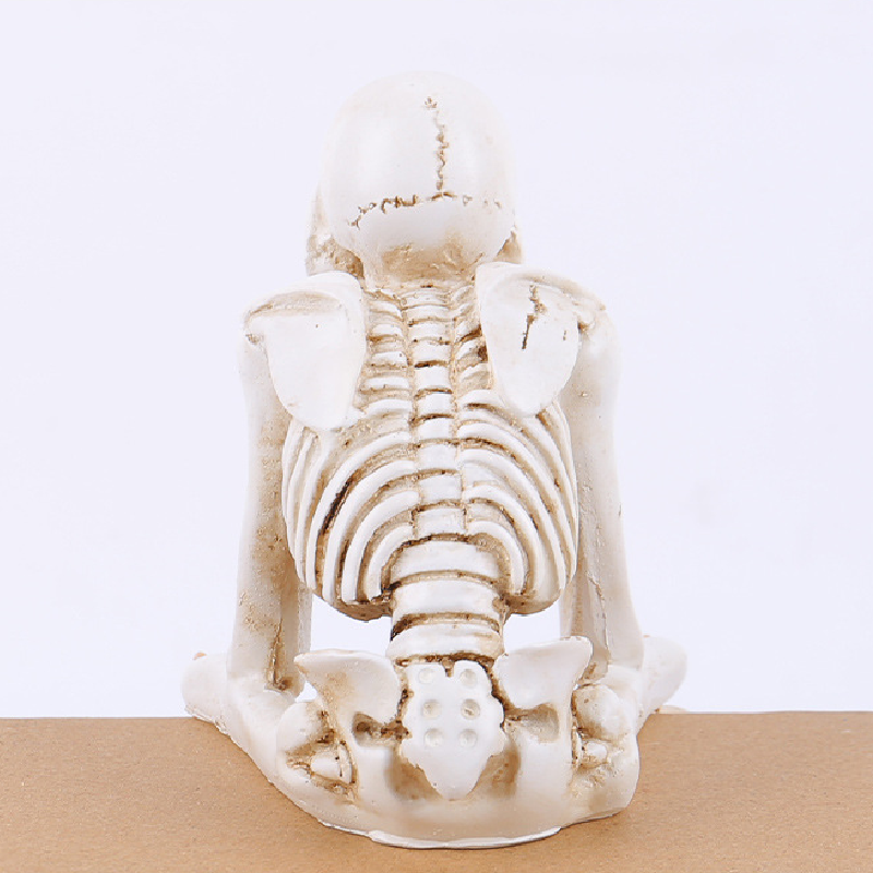 Creative Skeleton Skull Decor