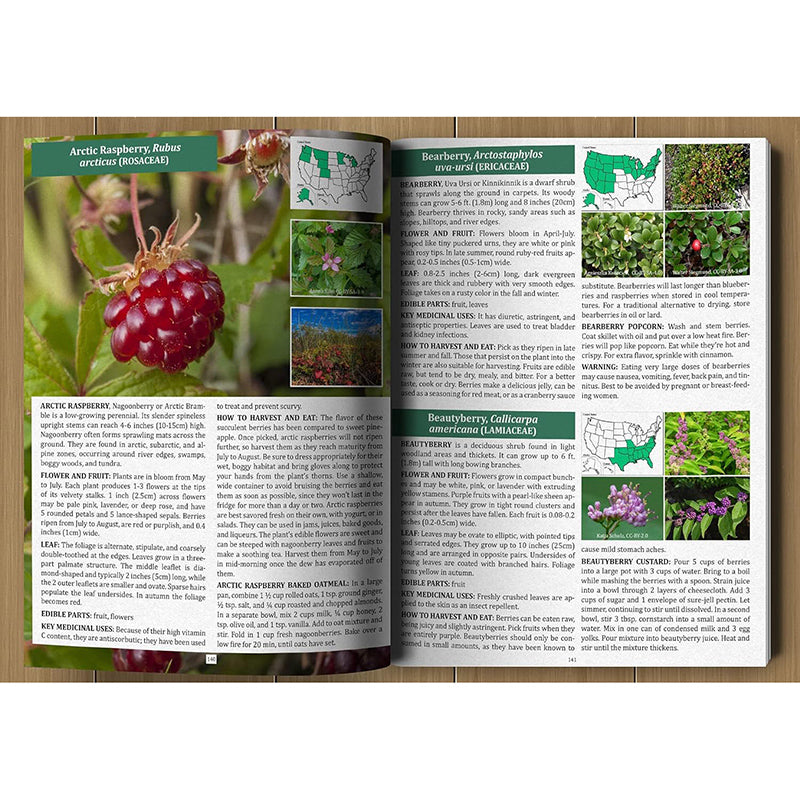 The Forager’s Guide to Wild Foods