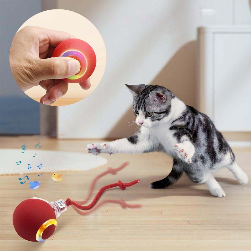 Interactive Rechargeable Ball Cat & Dog Toy