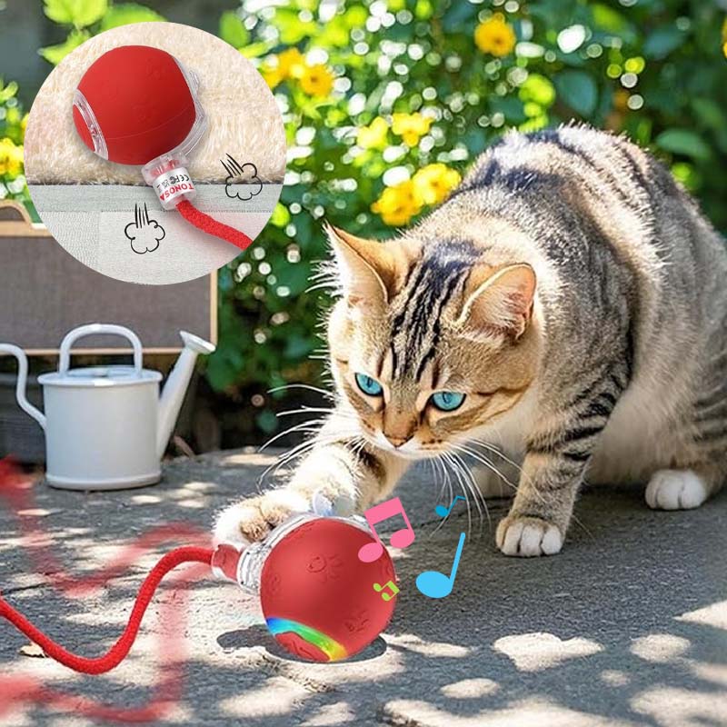 Interactive Rechargeable Ball Cat & Dog Toy
