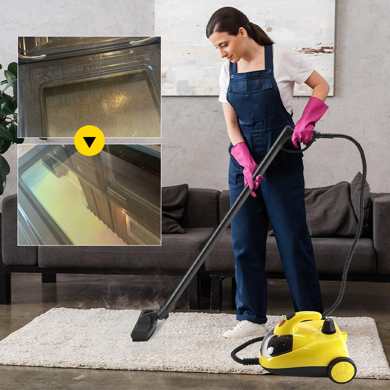 High-Pressure Steam Cleaner