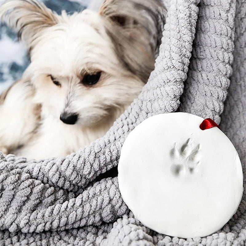 Gjutningssats för tassavtryck av husdjur i lera