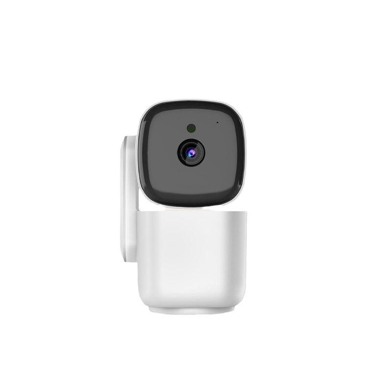 Indoor/Outdoor Pan Tilt Zoom Camera