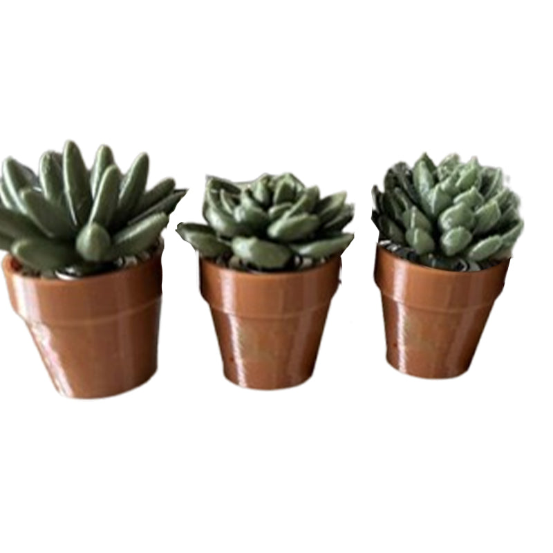 Potted Plant Stress Relief Toy
