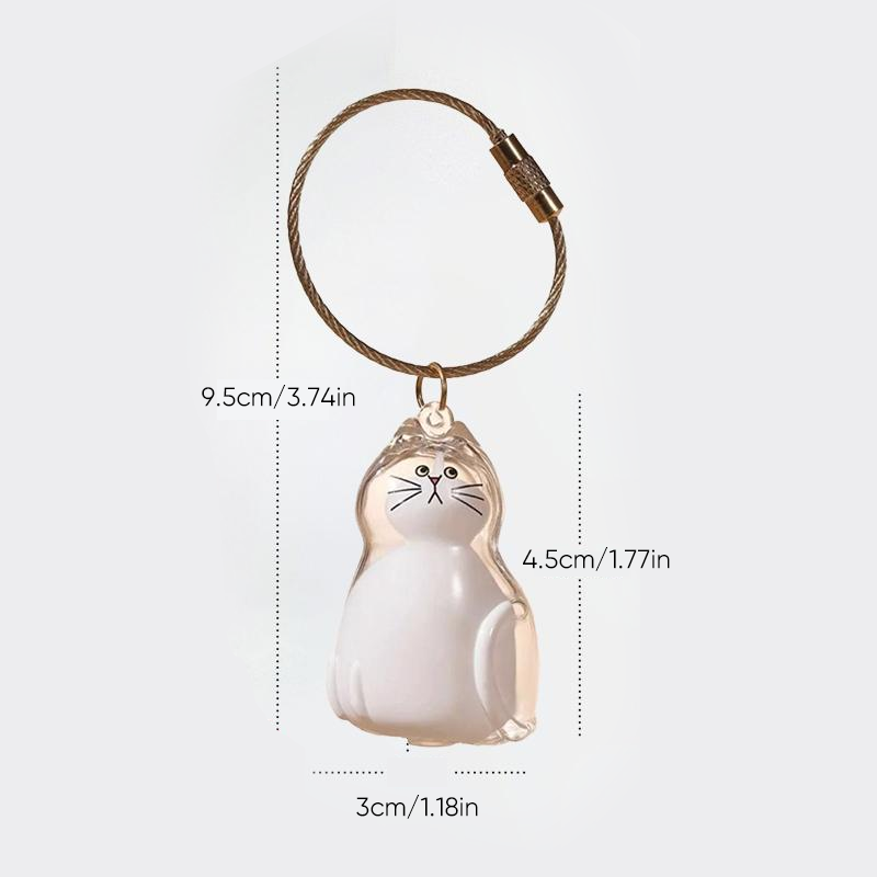 Cat Fur Keepsake Keychain β Transparent Memory Pendant for Pet Hair Storage