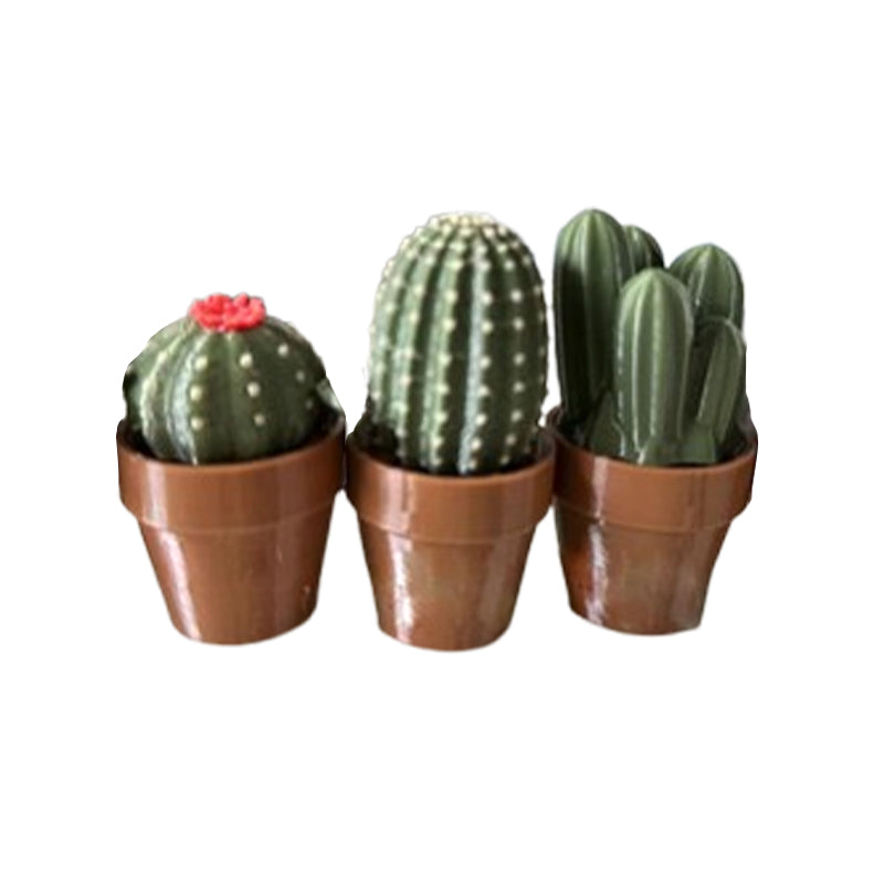 Potted Plant Stress Relief Toy