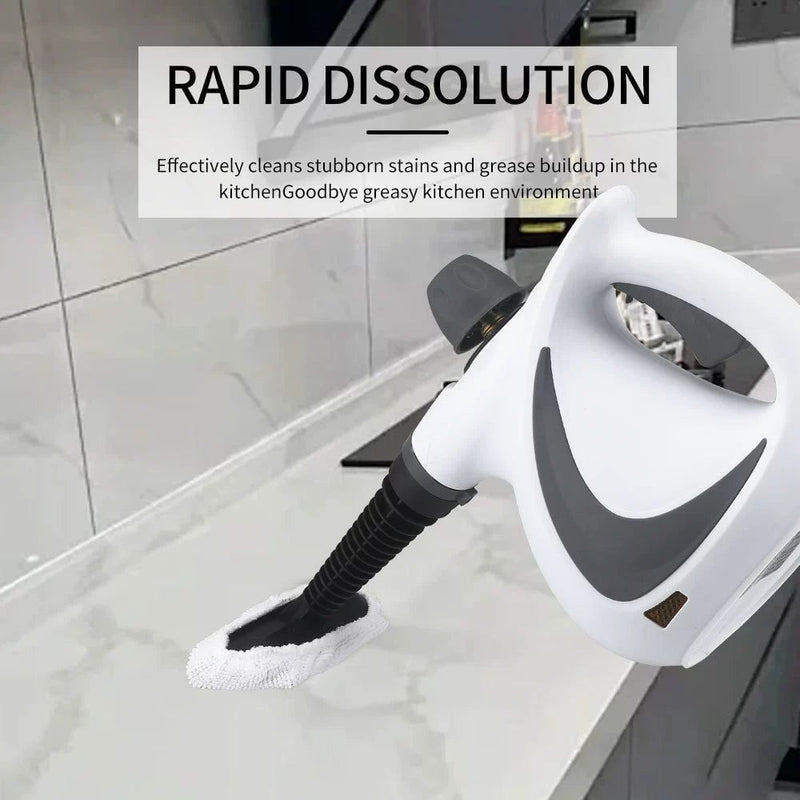 Steam Disinfection Cleaner