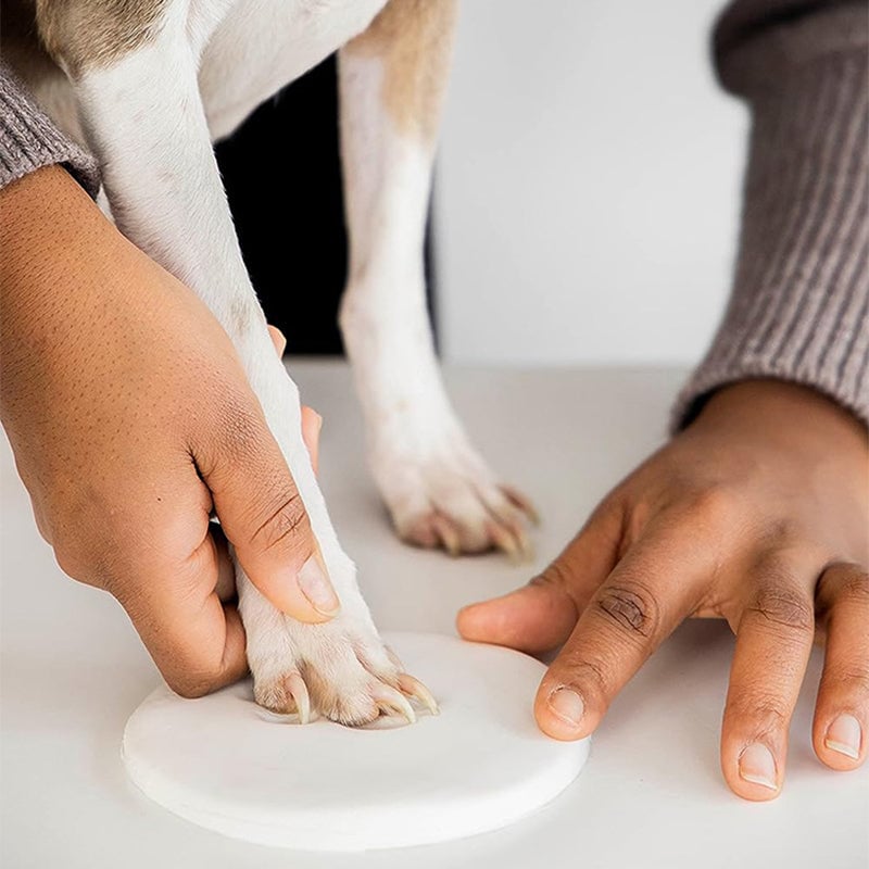 Gjutningssats för tassavtryck av husdjur i lera